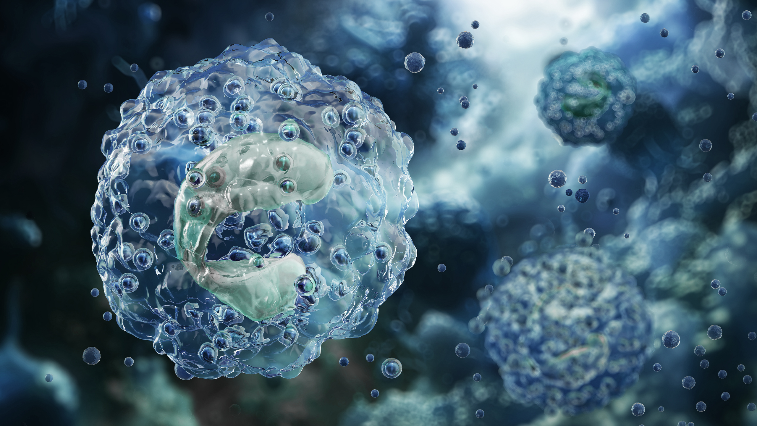 RES_BLOG_Illustration-Immunsystem